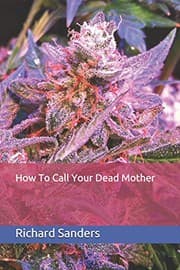 Tapa de How To Call Your Dead Mother