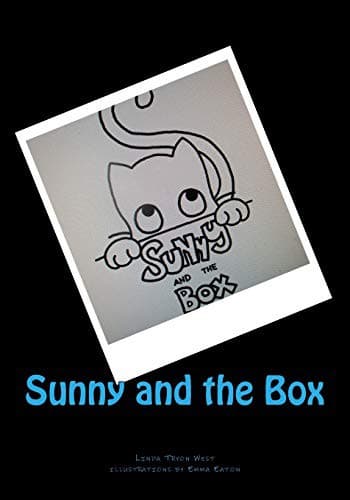 Tapa de Sunny and the Box