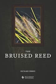 Tapa de The Bruised Reed