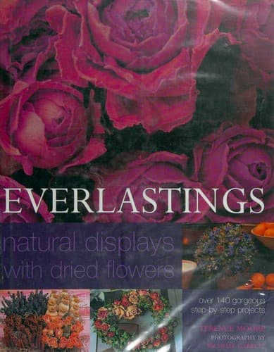 Tapa de Everlastings