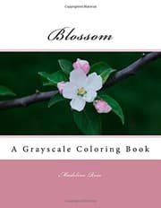 Tapa de Blossom