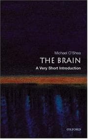 Tapa de The Brain