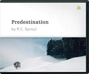 Tapa de Predestination