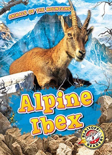 Tapa de Alpine Ibex