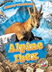 Tapa de Alpine Ibex