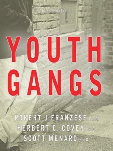 Tapa de Youth Gangs