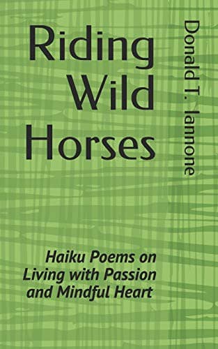 Tapa de Riding Wild Horses