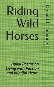 Tapa de Riding Wild Horses
