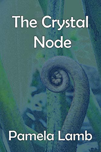 Tapa de The Crystal Node