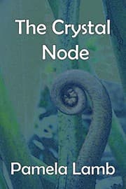 Tapa de The Crystal Node