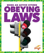 Tapa de Obeying Laws