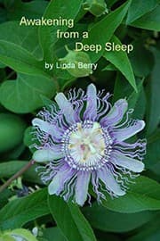 Tapa de Awakening From A Deep Sleep
