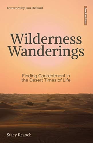 Tapa de Wilderness Wanderings