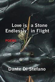 Tapa de Love Is a Stone Endlessly in Flight