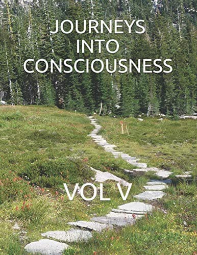 Tapa de Journeys Into Consciousness