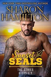 Tapa de Sunset SEALs : The Series