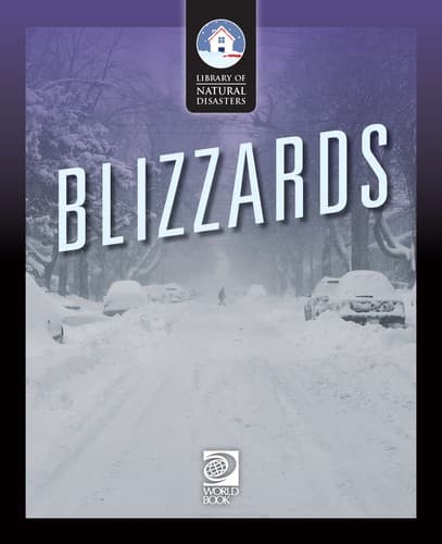 Tapa de Blizzards