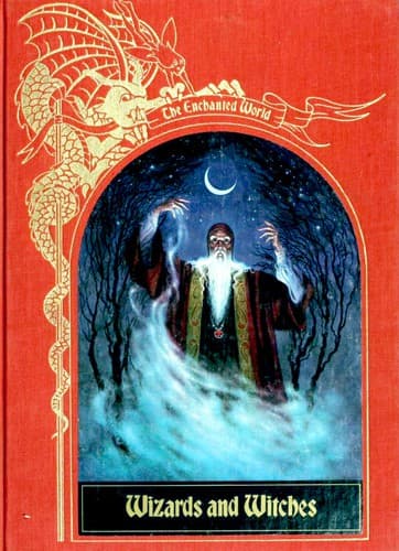 Tapa de Wizards and Witches (The Enchanted World)