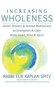 Tapa de Increasing Wholeness