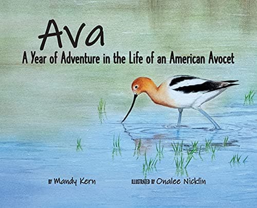 Tapa de Ava