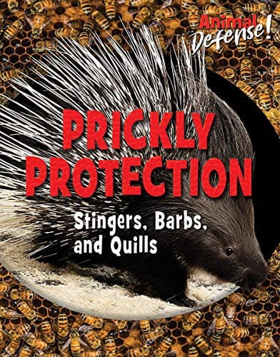 Tapa de Prickly Protection