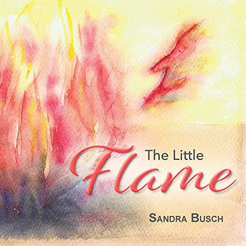 Tapa de The Little Flame