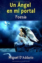 Tapa de Un Ángel en mi portal