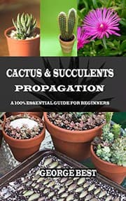 Tapa de CACTUS & SUCCULENTS PROPAGATION
