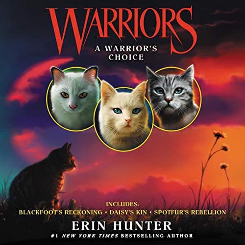 Tapa de Warriors