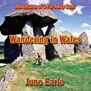 Tapa de Adventures of a Far Away Bear