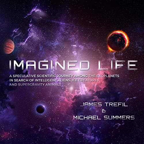 Tapa de Imagined Life