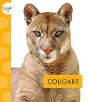 Tapa de Cougars