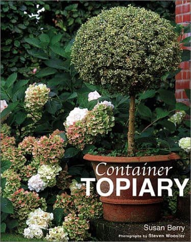 Tapa de Container Topiary