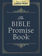 Tapa de Bible Promise Book Large Print Edition