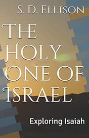 Tapa de The Holy One of Israel