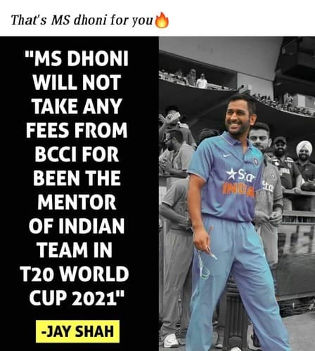 Tapa de No Spin