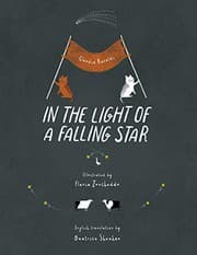 Tapa de In the light of a falling star