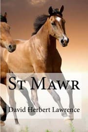 Tapa de St Mawr