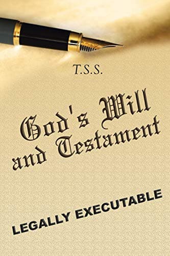 Tapa de God's Will and Testament