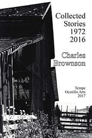 Tapa de Collected Stories 1972-2016