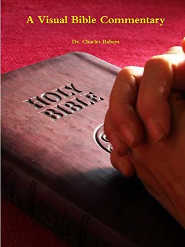 Tapa de A Visual Bible Commentary