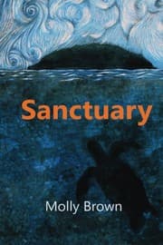 Tapa de Sanctuary