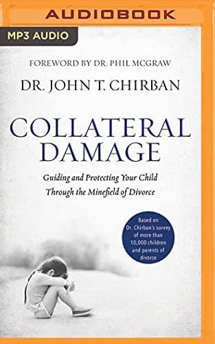 Tapa de Collateral Damage