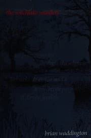 Tapa de Witchlake murders