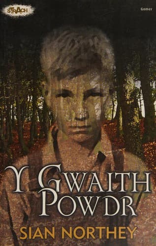 Tapa de Y gwaith powdr