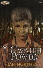 Tapa de Y gwaith powdr