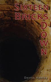 Tapa de Sixteen Bricks Down