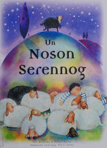 Tapa de Un noson serennog