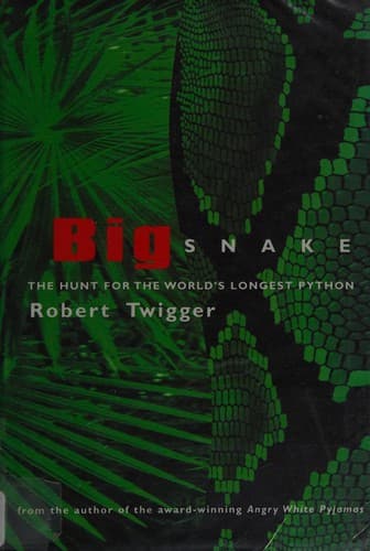 Tapa de Big snake