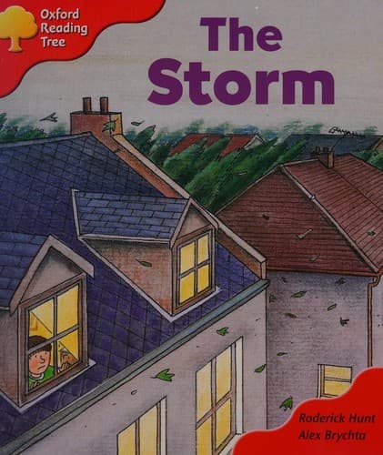Tapa de The Storm